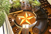 The Star of Texas